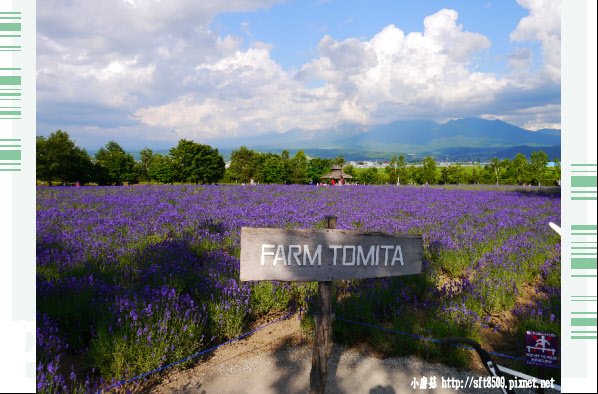 106.7.10.(118)富田農場.JPG