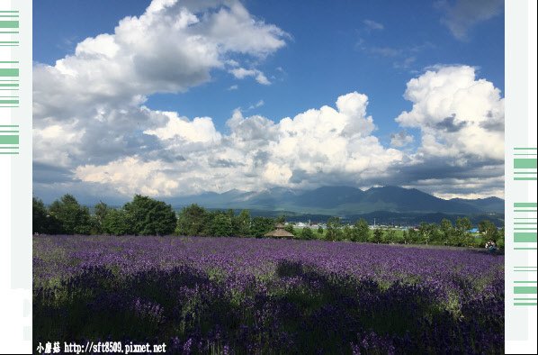 106.7.10.(135)富田農場.JPG