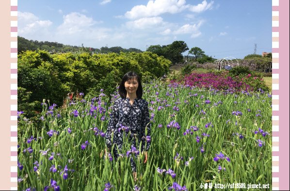 107.03.31.(198)紫藤咖啡園欣賞紫藤花.JPG