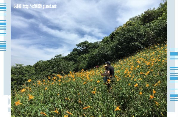 107.5.26.(20)沐心泉休閒農場.JPG