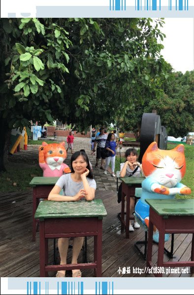 107.6.30.(124)雲林虎尾-貓咪小學堂.JPG
