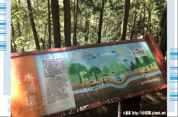 107.6.24.(22)武陵農場-桃山瀑布.JPG