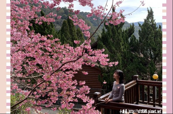 108.2.16.(69)拉拉山-觀雲休憩山莊.JPG