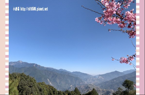 108.3.2.(151)福壽山農場-千櫻園.JPG