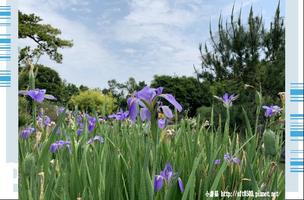 108.4.14.(150)雲林虎尾-澄霖沉香味道森林館.JPG