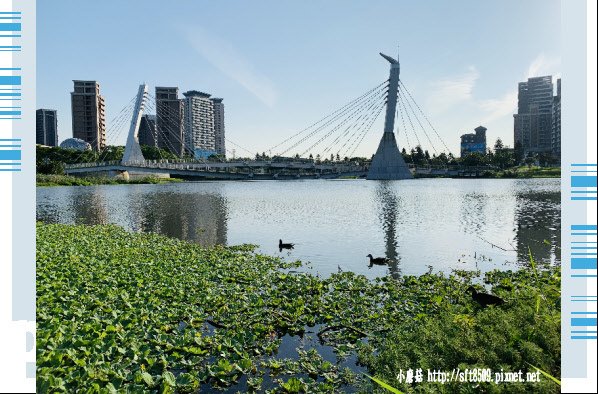 108.4.17.(86)青塘園生態公園.JPG