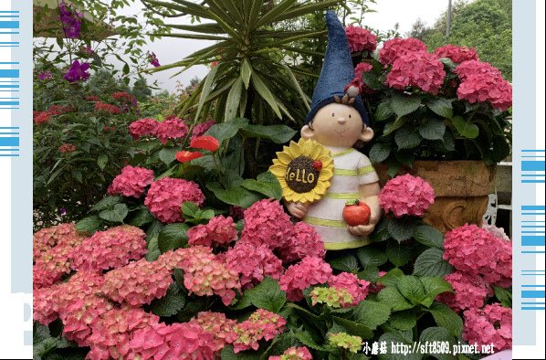 108.4.28.(33)苗栗南庄-碧絡角.JPG