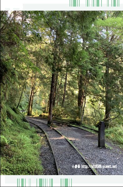 108.7.26.(99)太平山-見晴懷古步道.JPG