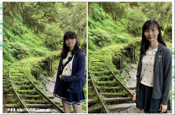 108.7.26.(171)太平山-見晴懷古步道.JPG