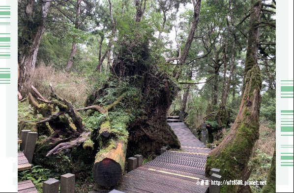 108.7.26.(106)太平山-檜木原始林自然步道.JPG