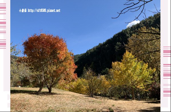 108.11.22.(15)武陵農場.JPG
