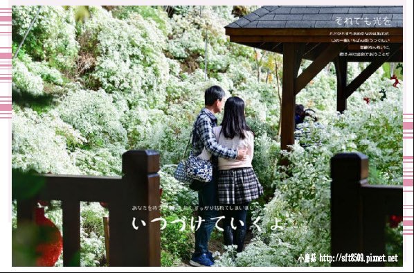 108.10.7.(91)新社-沐心泉休閒農場.JPG