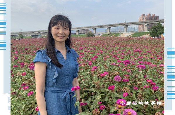109.5.1.(51)新北大都會公園.JPG