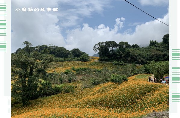 109.9.5.(49)花蓮-赤柯山金針花海.JPG