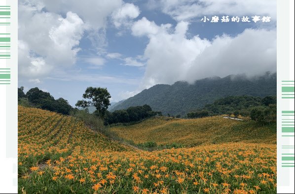 109.9.5.(66)花蓮-赤柯山金針花海.JPG