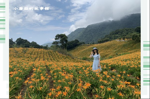 109.9.5.(72)花蓮-赤柯山金針花海.JPG