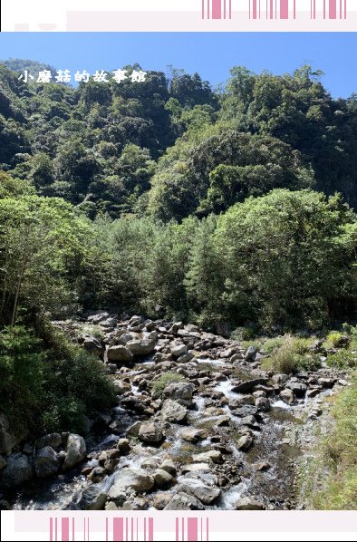 109.10.10.(28)八仙山國家森林遊樂區.JPG