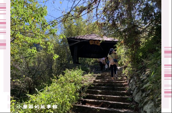 109.10.10.(46)八仙山國家森林遊樂區.JPG