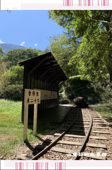 109.10.10.(49)八仙山國家森林遊樂區.JPG