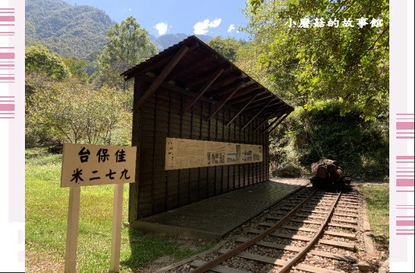 109.10.10.(51)八仙山國家森林遊樂區.JPG