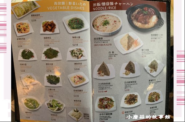 109.10.4.(24)陽明山-八卦夜未眠.JPG