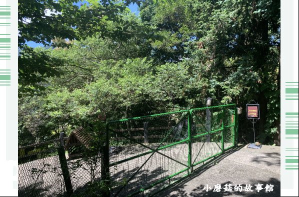 107.7.18.(11)清境-貝卡巧克力莊園.JPG