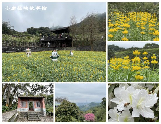 110.2.28.(117)貓空-樟樹步道‧魯冰花+阿義師創意茶餐廳.JPG