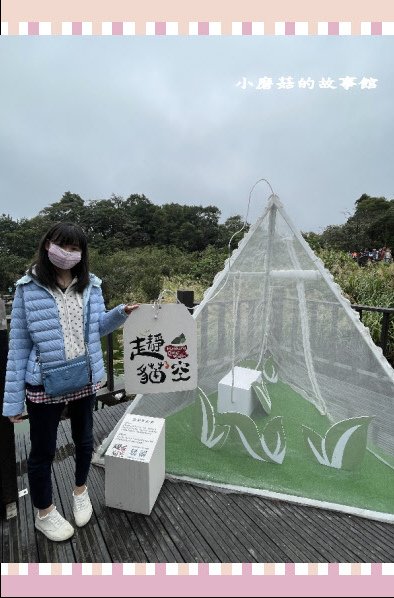 110.2.28.(18)貓空-樟樹步道‧魯冰花+阿義師創意茶餐廳.JPG