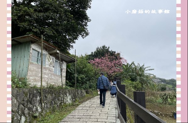 110.2.28.(53)貓空-樟樹步道‧魯冰花+阿義師創意茶餐廳.JPG