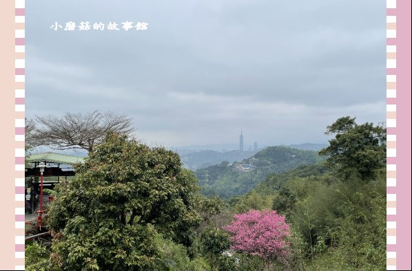 110.2.28.(104)貓空-樟樹步道‧魯冰花+阿義師創意茶餐廳.JPG