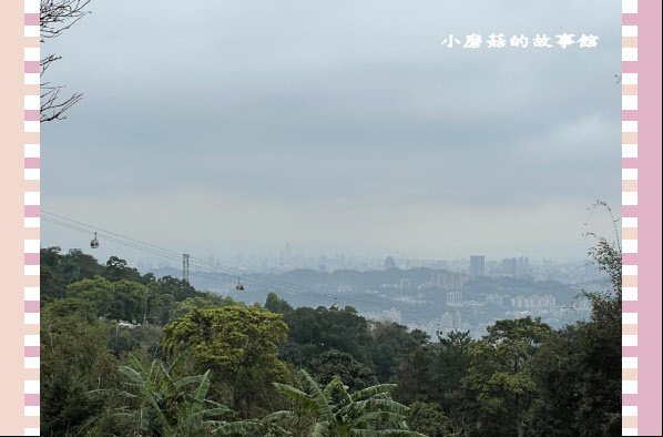 110.2.28.(112)貓空-樟樹步道‧魯冰花+阿義師創意茶餐廳.JPG