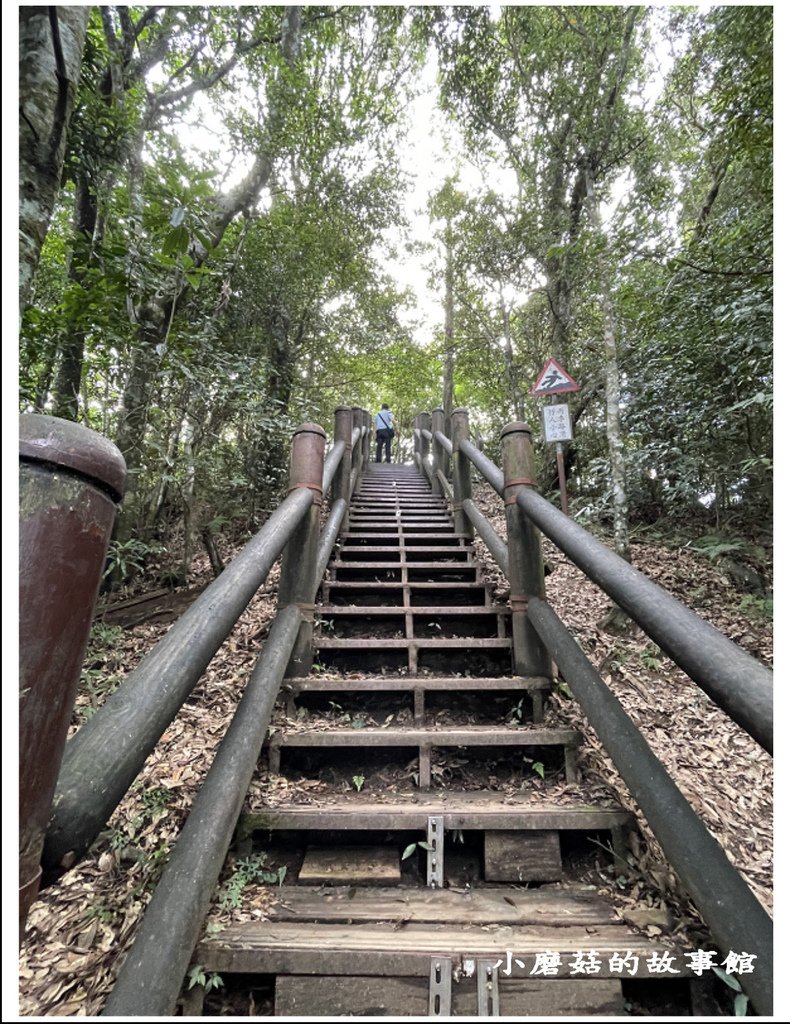 111.8.31.(75)東眼山國家森林遊樂區(自導式步道).JPG