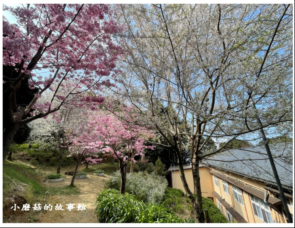 112.3.9.(94)新竹五峰-雪霸休閒農場.JPG