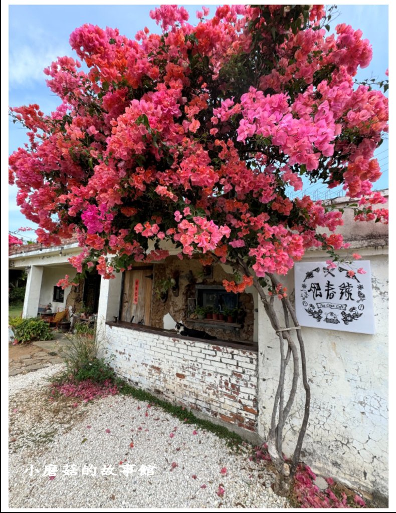 113.4.20.(4)屏東恆春-肥春號.JPG