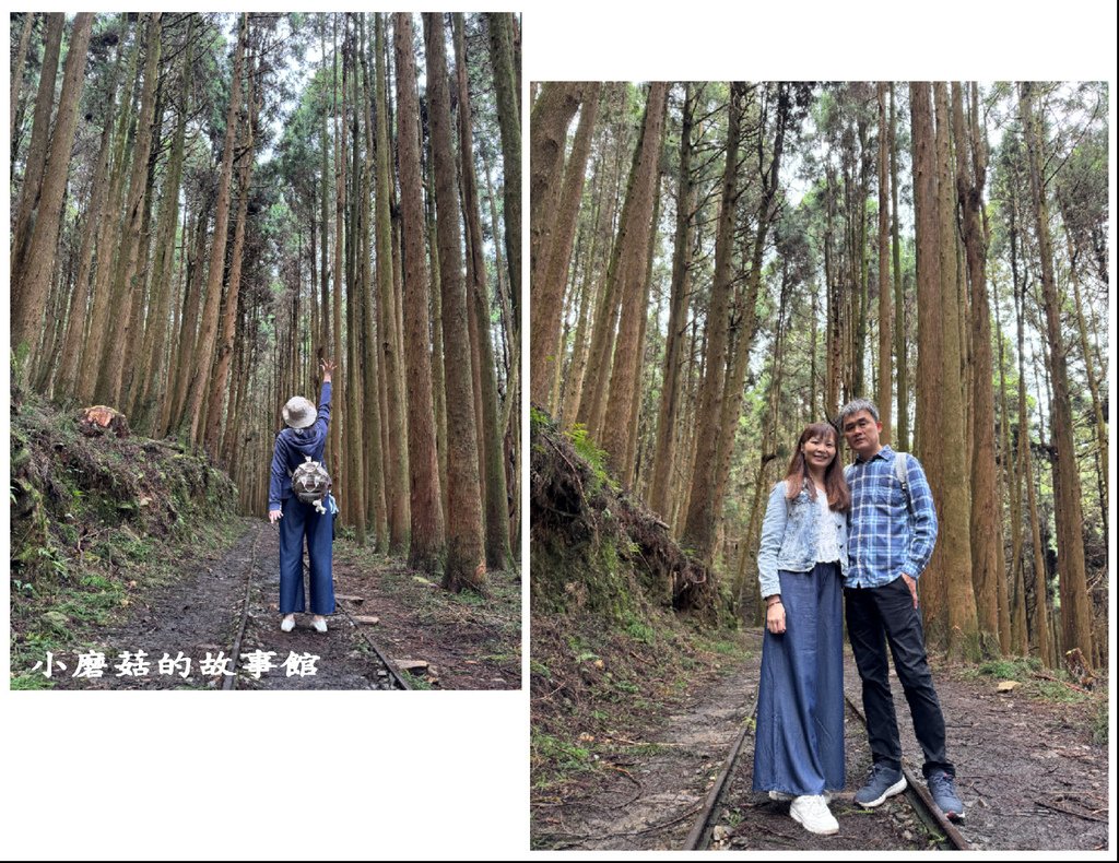 113.8.24.(96)嘉義阿里山-特富野古道.JPG