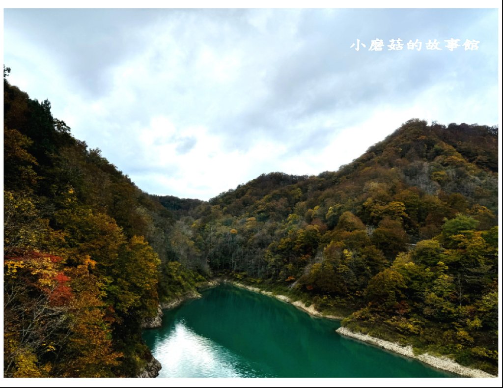 113.10.27.(2)八幡平-楓紅道路.JPG