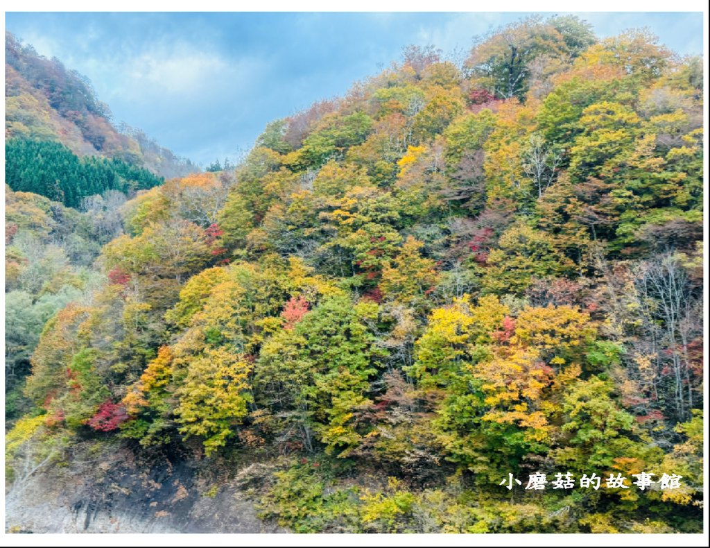 113.10.27.(7)八幡平-楓紅道路.JPG