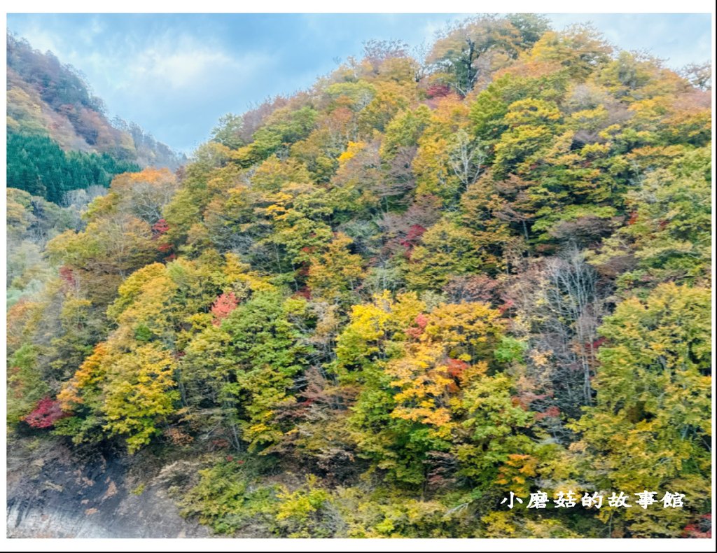 113.10.27.(8)八幡平-楓紅道路.JPG