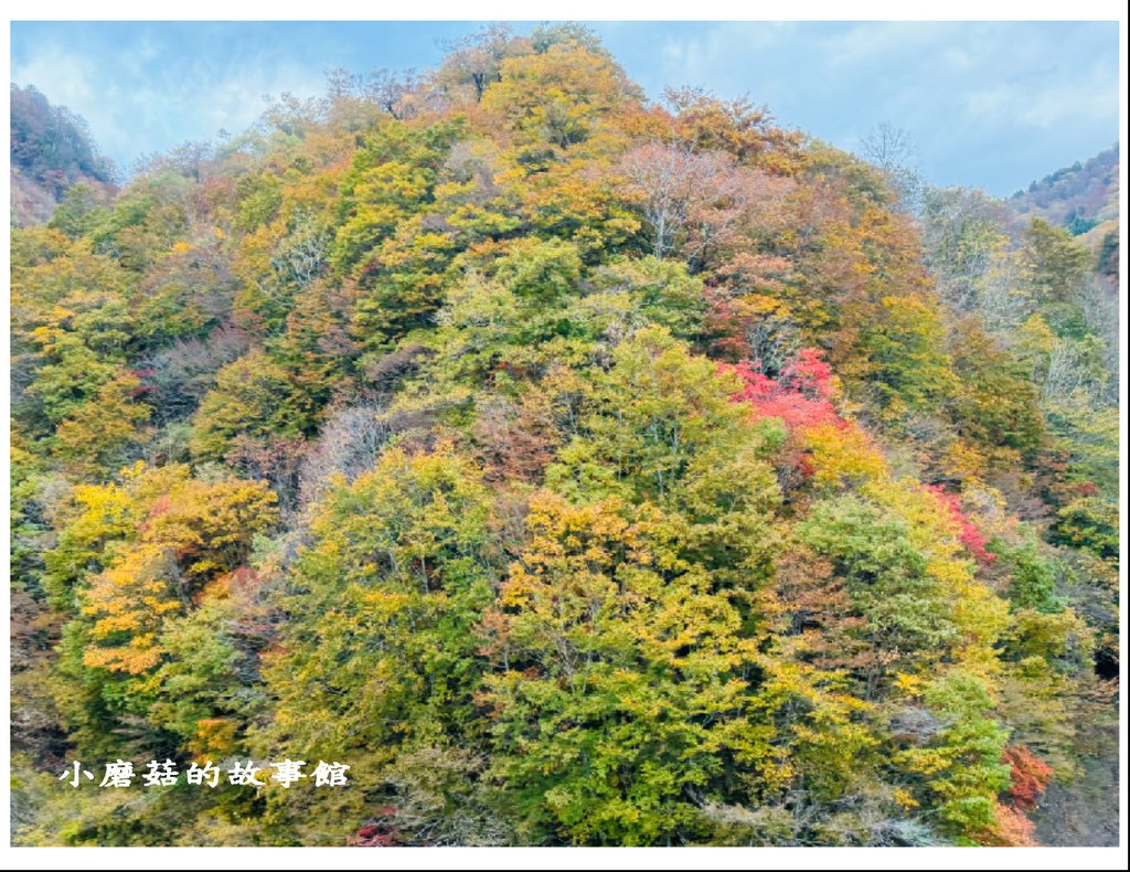 113.10.27.(10)八幡平-楓紅道路.JPG