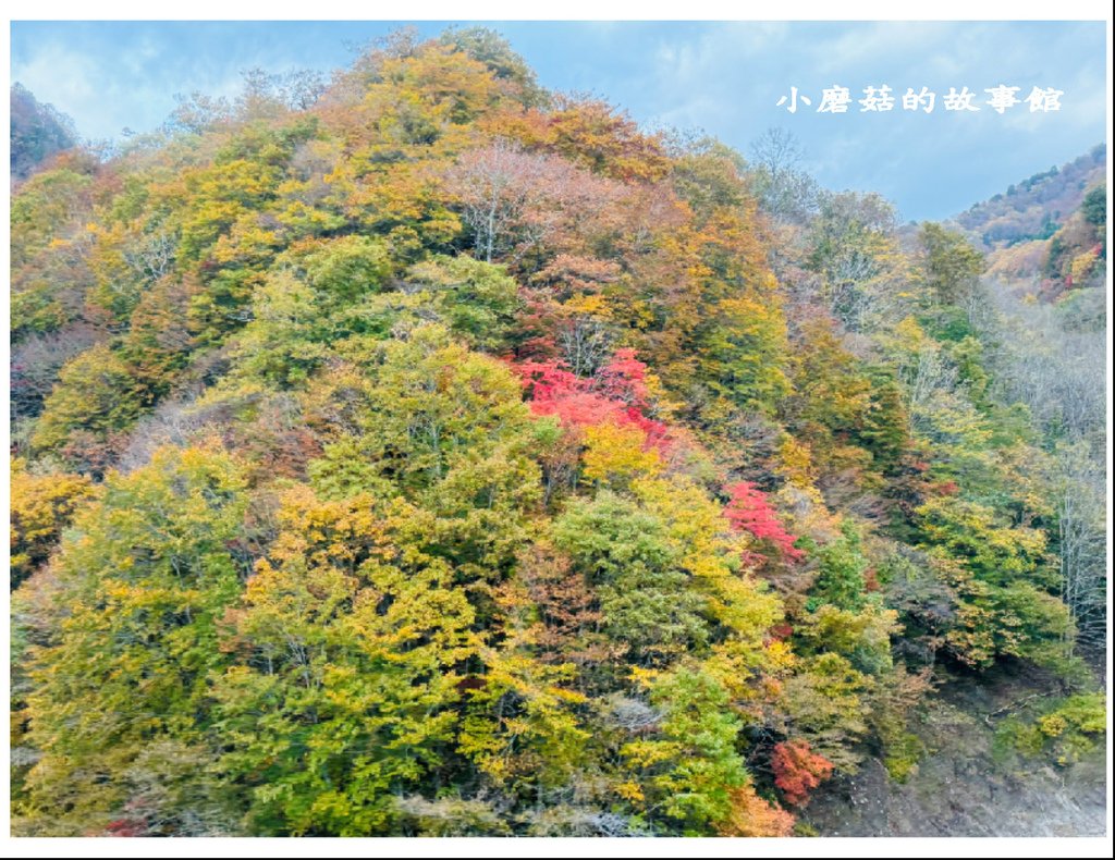 113.10.27.(11)八幡平-楓紅道路.JPG