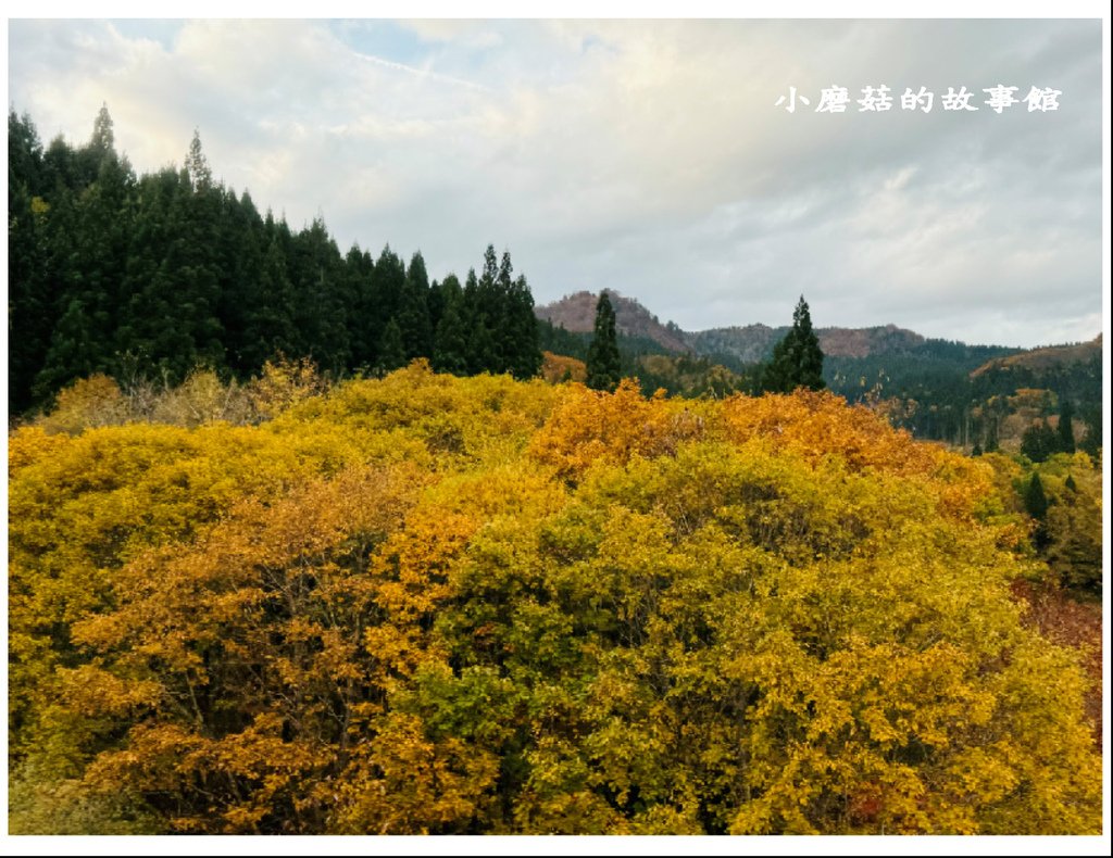 113.10.27.(12)八幡平-楓紅道路.JPG