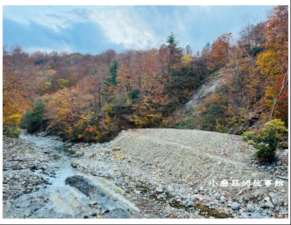 113.10.27.(23)八幡平-楓紅道路.JPG