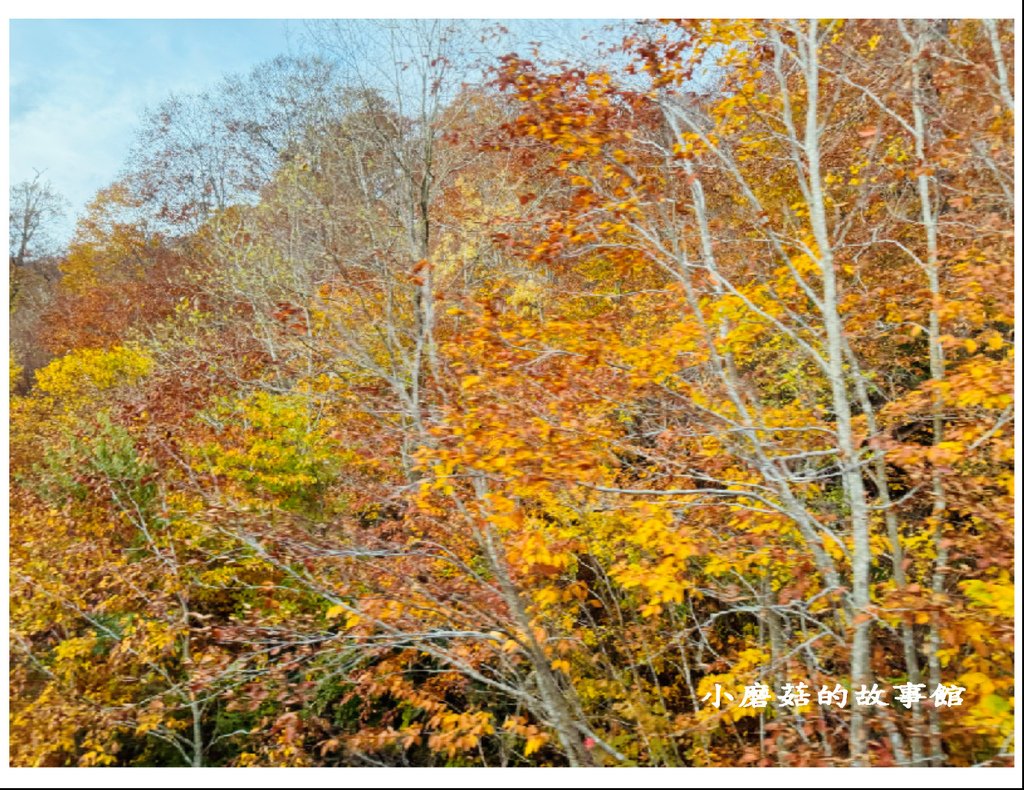 113.10.27.(30)八幡平-楓紅道路.JPG