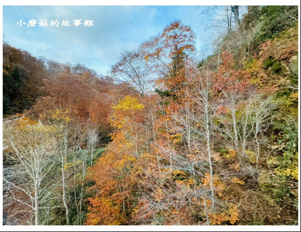 113.10.27.(38)八幡平-楓紅道路.JPG