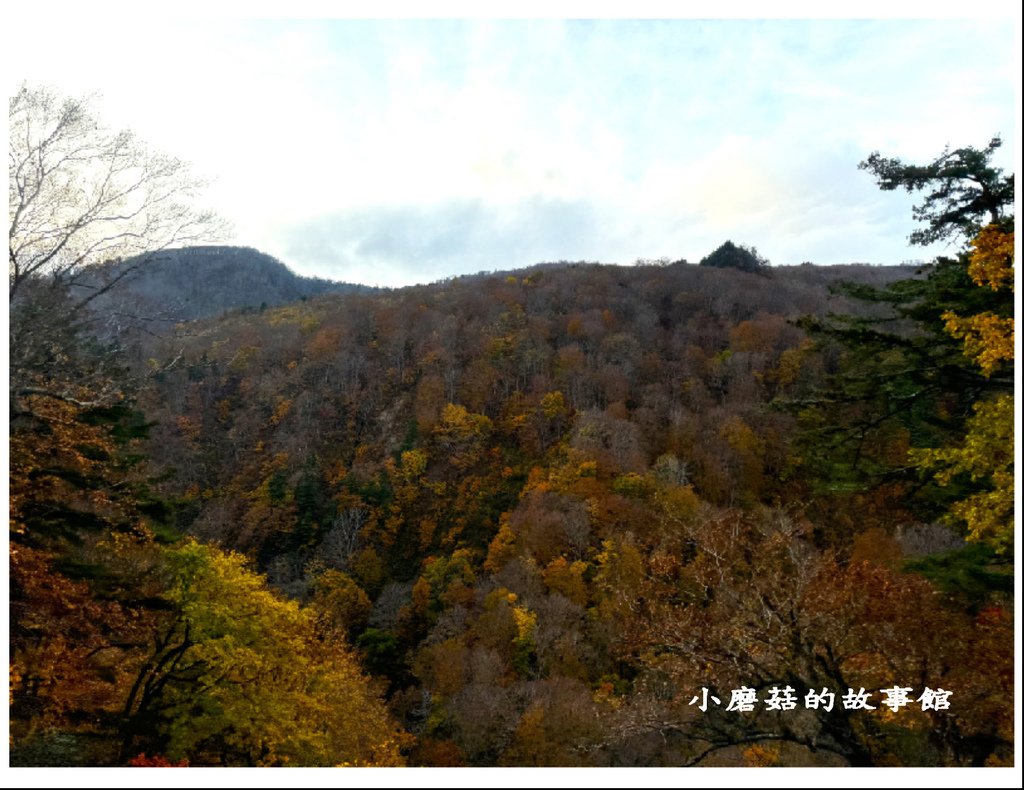 113.10.27.(44)八幡平-楓紅道路.JPG