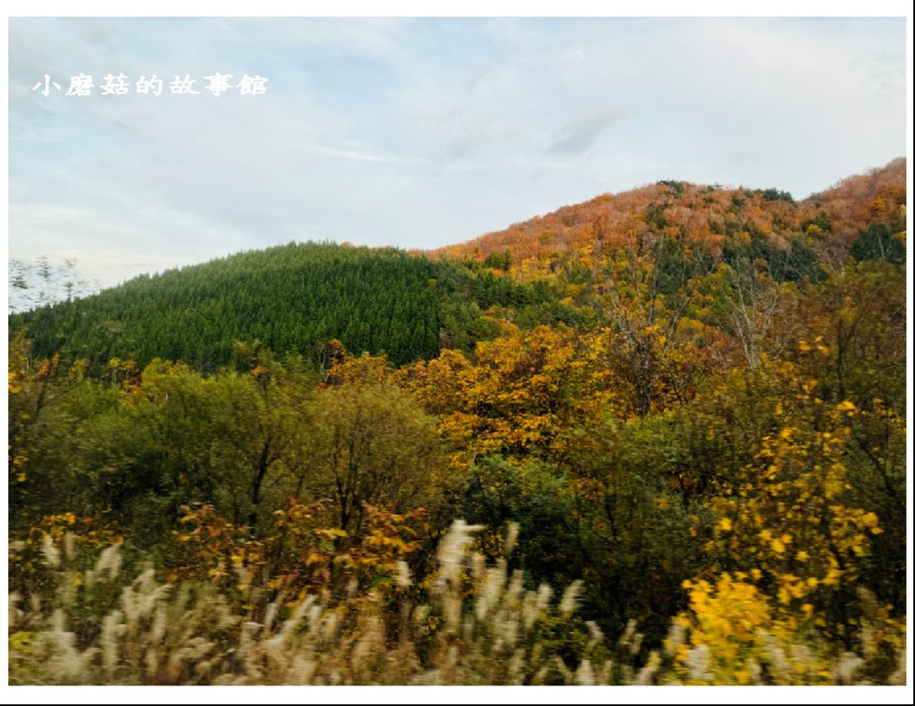 113.10.27.(46)八幡平-楓紅道路.JPG