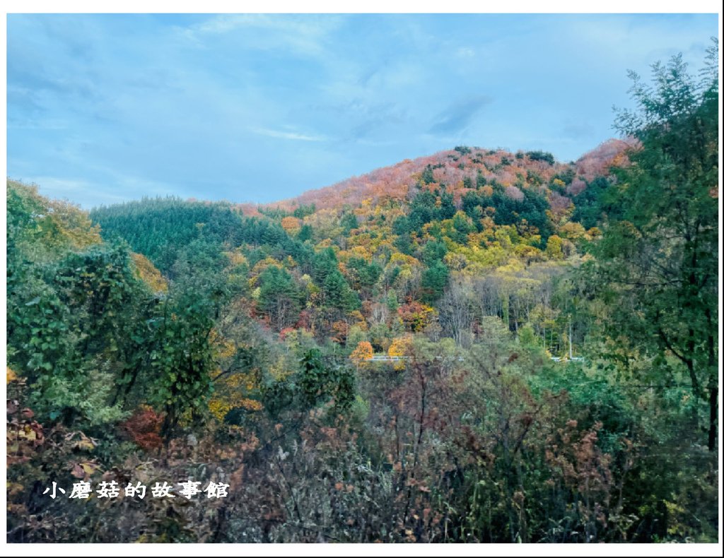 113.10.27.(48)八幡平-楓紅道路.JPG