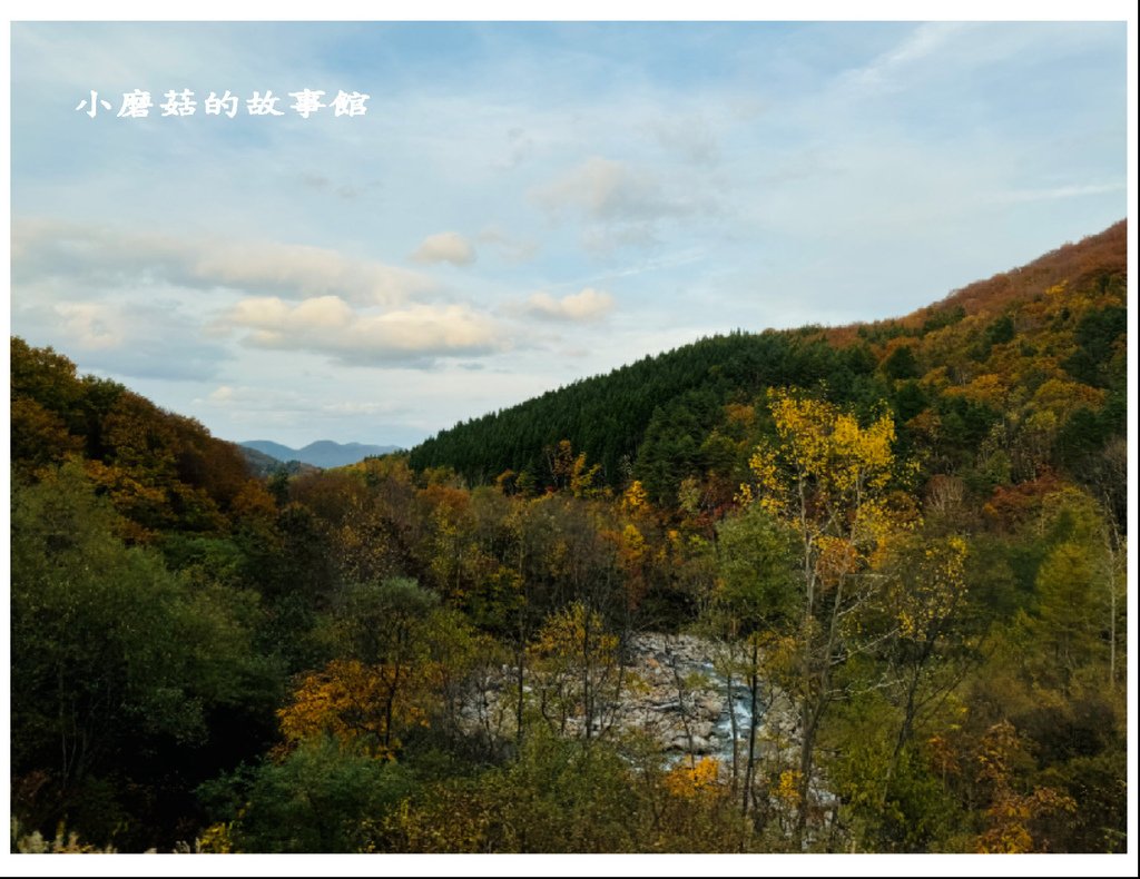 113.10.27.(50)八幡平-楓紅道路.JPG