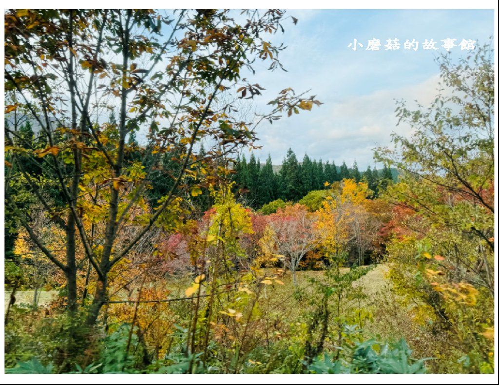 113.10.27.(54)八幡平-楓紅道路.JPG