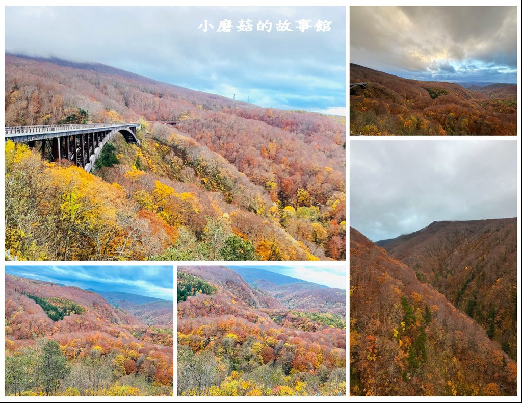 113.10.28.(60)城倉大橋.JPG